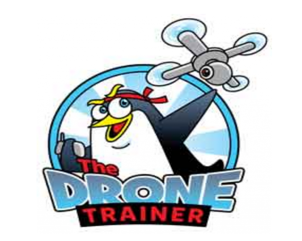 The Drone Trainer